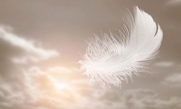 Plume